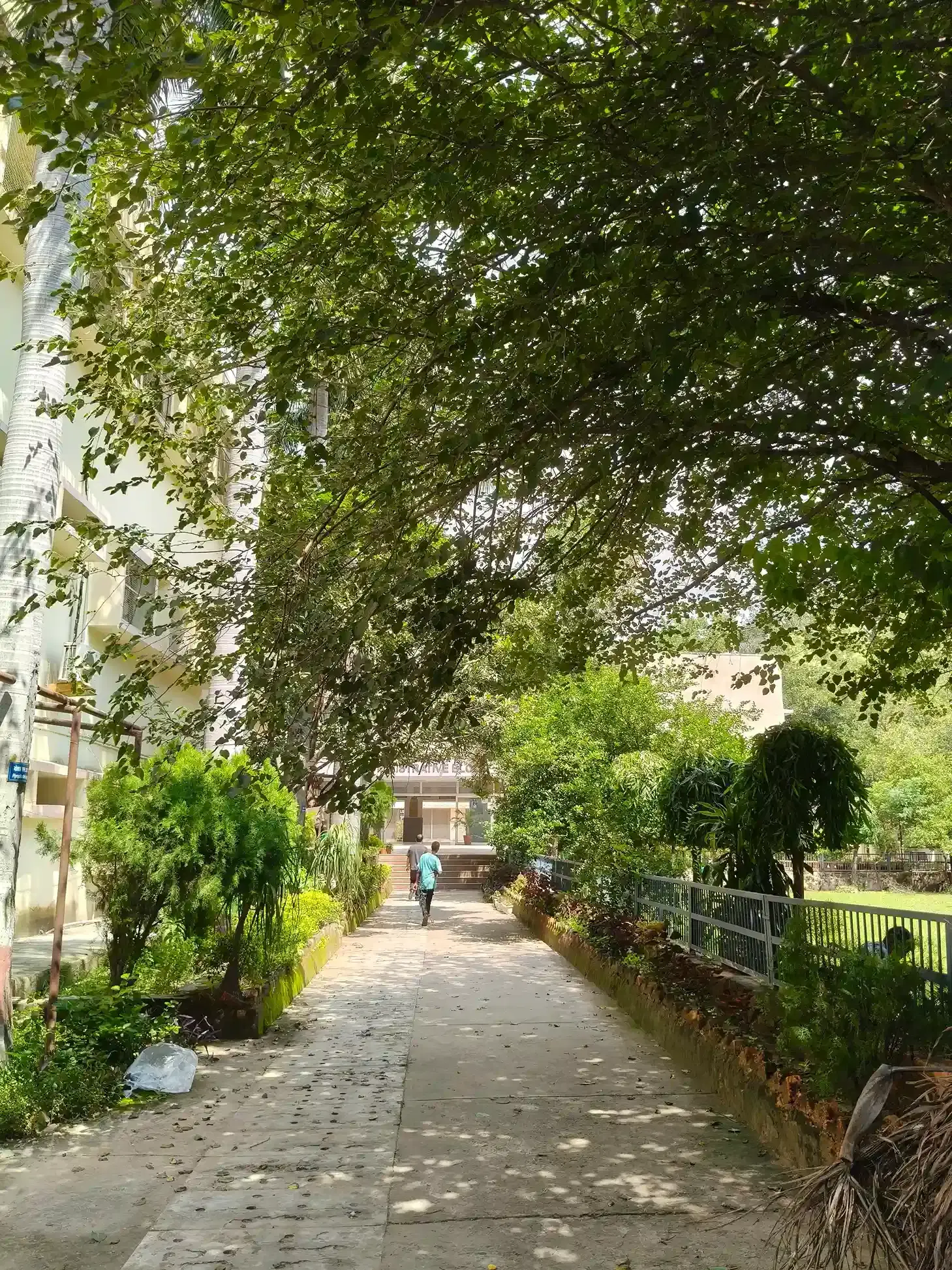 Delhi College of Arts and Commerce Academic Infrastructure photo 11